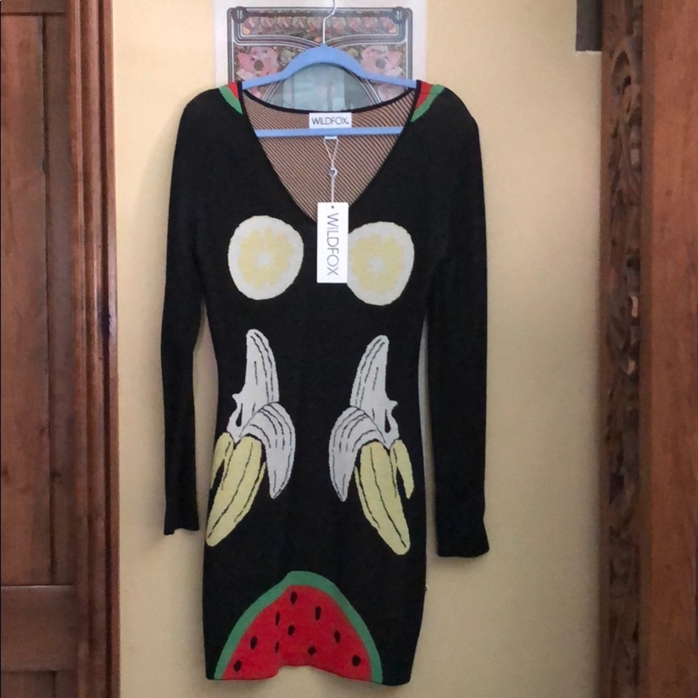 Wildfox dress / Never worn